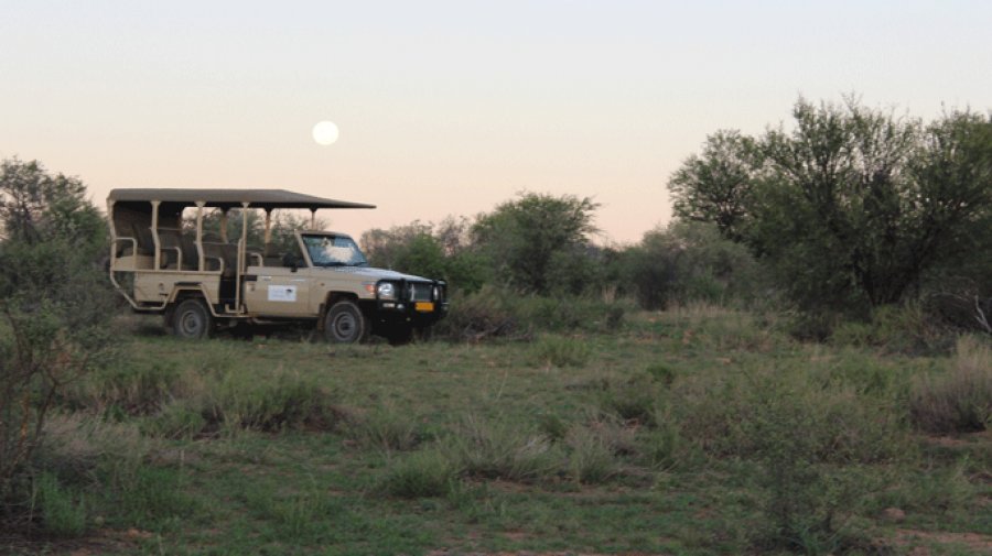 safari lodges near windhoek